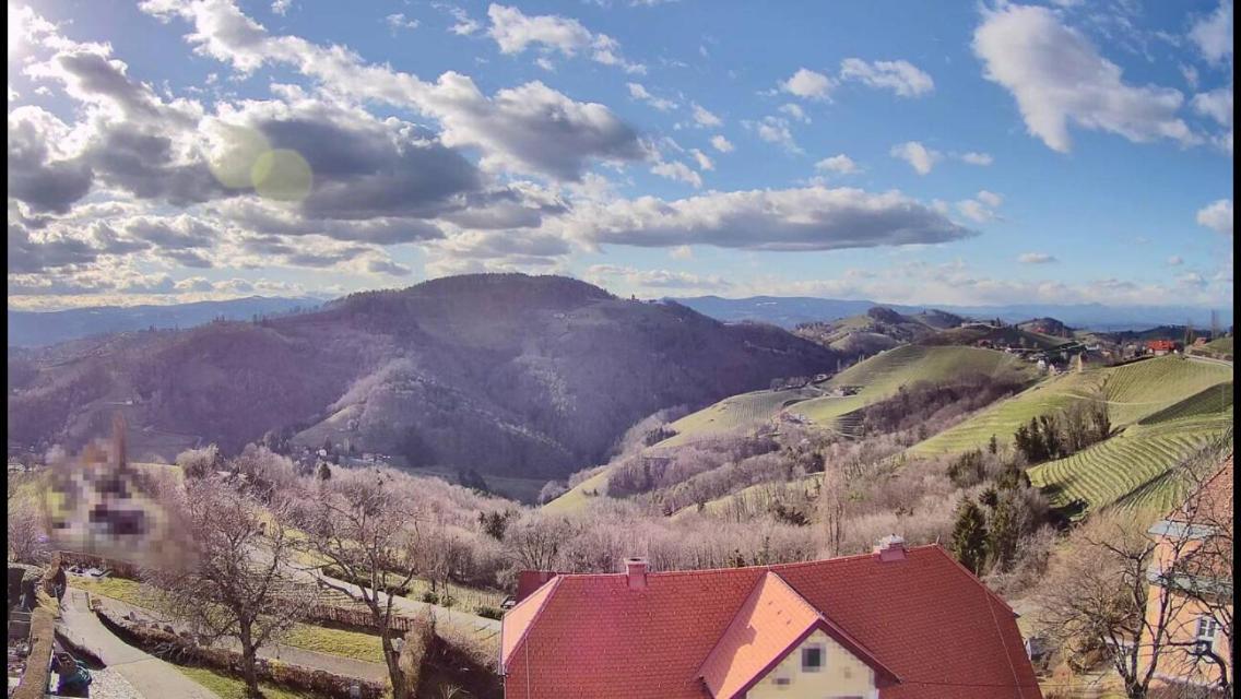 Wohlmuth-Lueckl Otel Kitzeck im Sausal Dış mekan fotoğraf