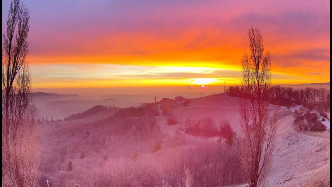 Wohlmuth-Lueckl Otel Kitzeck im Sausal Dış mekan fotoğraf