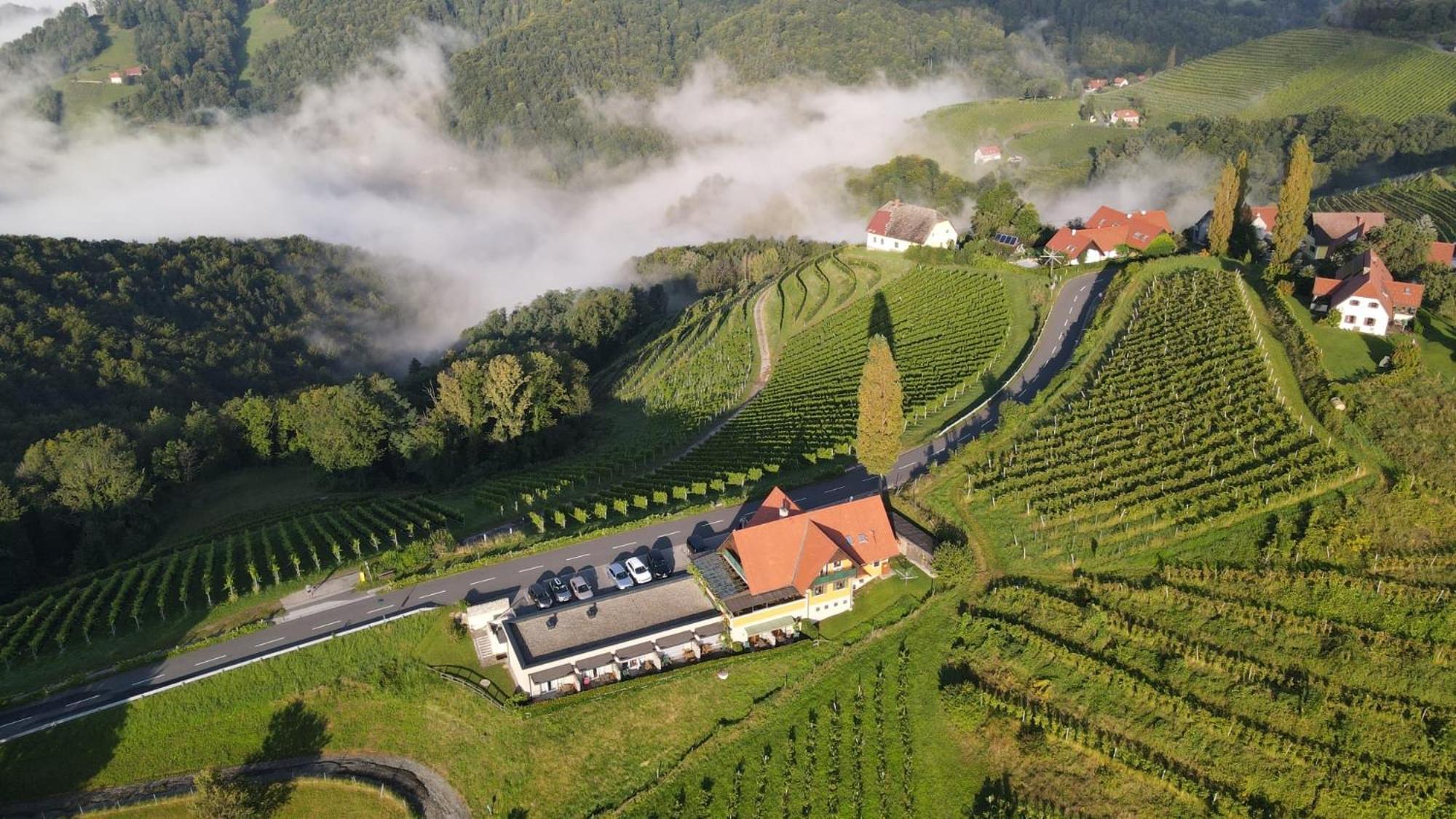Wohlmuth-Lueckl Otel Kitzeck im Sausal Dış mekan fotoğraf