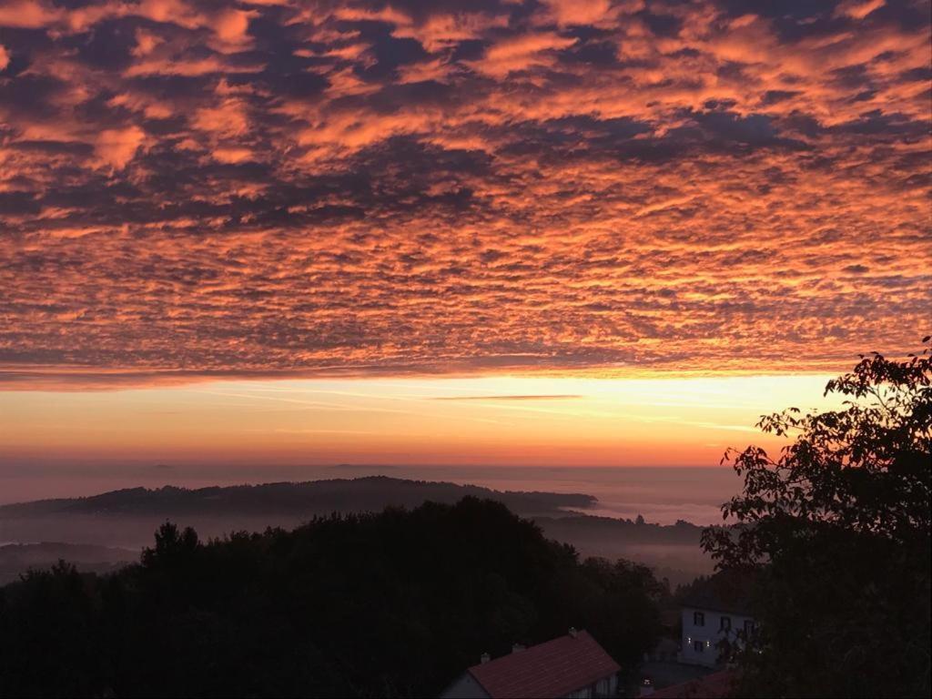 Wohlmuth-Lueckl Otel Kitzeck im Sausal Dış mekan fotoğraf